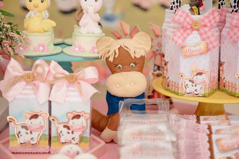 Smash the cake volta redonda barra mansa Fotografia Fotografo Festa Infantil 1 ano 1 aninho mamae papai ensaio aniversario  festa salão, cavalo, fazenda, boi, vaca rio de janeiro'