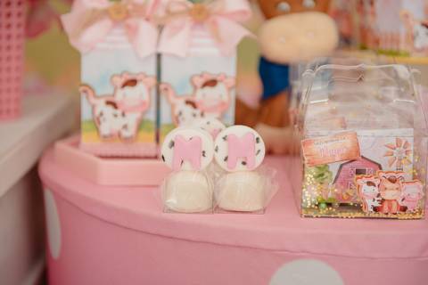 Smash the cake volta redonda barra mansa Fotografia Fotografo Festa Infantil 1 ano 1 aninho mamae papai ensaio aniversario  festa salão, cavalo, fazenda, boi, vaca rio de janeiro'