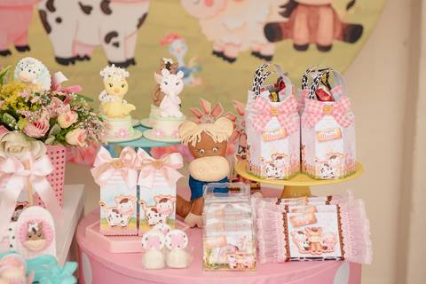 Smash the cake volta redonda barra mansa Fotografia Fotografo Festa Infantil 1 ano 1 aninho mamae papai ensaio aniversario  festa salão, cavalo, fazenda, boi, vaca rio de janeiro'