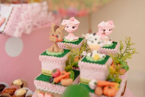 Smash the cake volta redonda barra mansa Fotografia Fotografo Festa Infantil 1 ano 1 aninho mamae papai ensaio aniversario  festa salão, cavalo, fazenda, boi, vaca rio de janeiro'