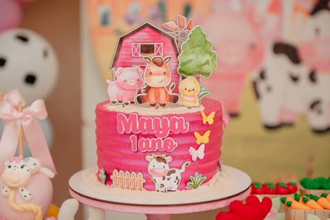 Smash the cake volta redonda barra mansa Fotografia Fotografo Festa Infantil 1 ano 1 aninho mamae papai ensaio aniversario  festa salão, cavalo, fazenda, boi, vaca rio de janeiro'