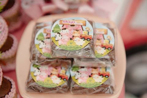 Smash the cake volta redonda barra mansa Fotografia Fotografo Festa Infantil 1 ano 1 aninho mamae papai ensaio aniversario  festa salão, cavalo, fazenda, boi, vaca rio de janeiro'