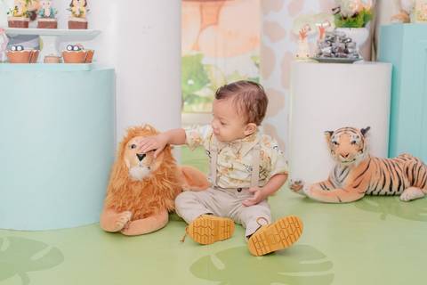 Rio de Janeiro, Smash the cake volta redonda barra mansa Fotografia Fotografo Festa Infantil 1 ano 1 aninho mamãe papai ensaio aniversario  tictac festa salão, safari, Leão, rio de janeiro'