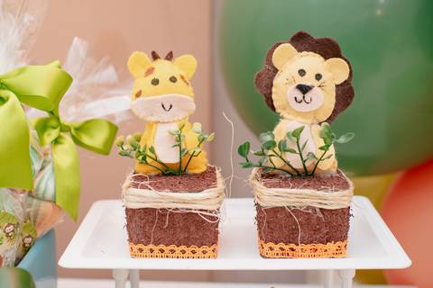 Rio de Janeiro, Smash the cake volta redonda barra mansa Fotografia Fotografo Festa Infantil 1 ano 1 aninho mamãe papai ensaio aniversario  tictac festa salão, safari, Leão, rio de janeiro'