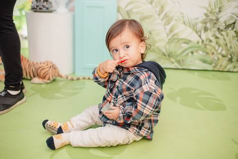 Rio de Janeiro, Smash the cake volta redonda barra mansa Fotografia Fotografo Festa Infantil 1 ano 1 aninho mamãe papai ensaio aniversario  tictac festa salão, safari, Leão, rio de janeiro'