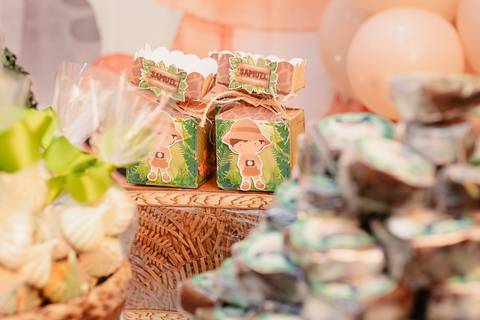 Rio de Janeiro, Smash the cake volta redonda barra mansa Fotografia Fotografo Festa Infantil 1 ano 1 aninho mamãe papai ensaio aniversario  tictac festa salão, safari, Leão, rio de janeiro'