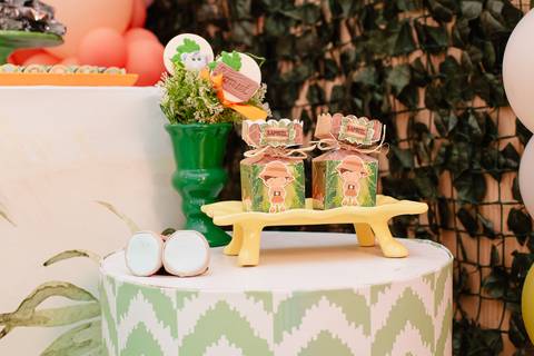 Rio de Janeiro, Smash the cake volta redonda barra mansa Fotografia Fotografo Festa Infantil 1 ano 1 aninho mamãe papai ensaio aniversario  tictac festa salão, safari, Leão, rio de janeiro'