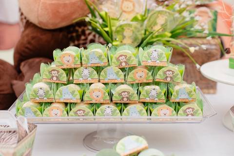 Rio de Janeiro, Smash the cake volta redonda barra mansa Fotografia Fotografo Festa Infantil 1 ano 1 aninho mamãe papai ensaio aniversario  tictac festa salão, safari, Leão, rio de janeiro'