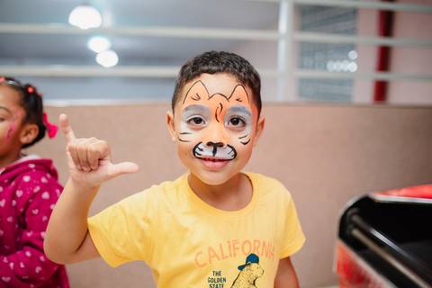 Rio de Janeiro, Smash the cake volta redonda barra mansa Fotografia Fotografo Festa Infantil 1 ano 1 aninho mamãe papai ensaio aniversario  tictac festa salão, safari, Leão, rio de janeiro'