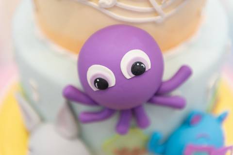 Smash the cake volta redonda barra mansa Fotografia Fotografo Festa Infantil 1 ano 1 aninho mamae papai ensaio aniversario  tictac festa salao, bolo fofo'