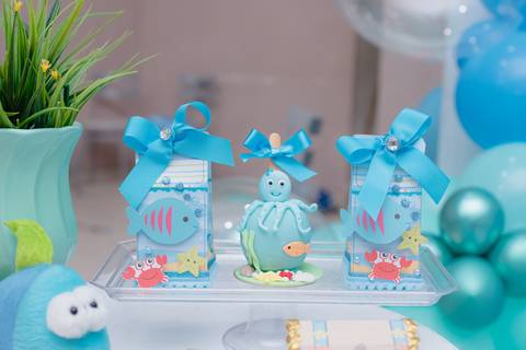 Smash the cake volta redonda barra mansa Fotografia Fotografo Festa Infantil 1 ano 1 aninho mamae papai ensaio aniversario  tictac festa salao, Fundo do mar'