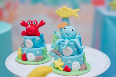 Smash the cake volta redonda barra mansa Fotografia Fotografo Festa Infantil 1 ano 1 aninho mamae papai ensaio aniversario  tictac festa salao, Fundo do mar'