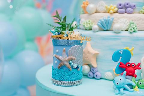 Smash the cake volta redonda barra mansa Fotografia Fotografo Festa Infantil 1 ano 1 aninho mamae papai ensaio aniversario  tictac festa salao, Fundo do mar'