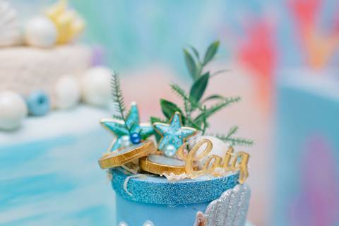 Smash the cake volta redonda barra mansa Fotografia Fotografo Festa Infantil 1 ano 1 aninho mamae papai ensaio aniversario  tictac festa salao, Fundo do mar'