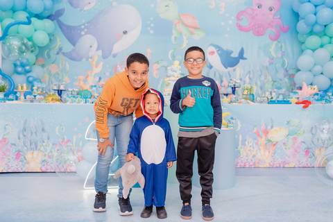 Smash the cake volta redonda barra mansa Fotografia Fotografo Festa Infantil 1 ano 1 aninho mamae papai ensaio aniversario  tictac festa salao, Fundo do mar'