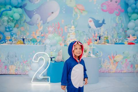 Smash the cake volta redonda barra mansa Fotografia Fotografo Festa Infantil 1 ano 1 aninho mamae papai ensaio aniversario  tictac festa salao, Fundo do mar'