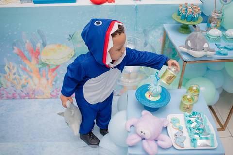 Smash the cake volta redonda barra mansa Fotografia Fotografo Festa Infantil 1 ano 1 aninho mamae papai ensaio aniversario  tictac festa salao, Fundo do mar'