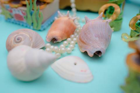 Smash the cake volta redonda barra mansa Fotografia Fotografo Festa Infantil 1 ano 1 aninho mamae papai ensaio aniversario  tictac festa salao, Fundo do mar'