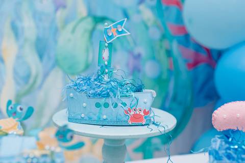 Smash the cake volta redonda barra mansa Fotografia Fotografo Festa Infantil 1 ano 1 aninho mamae papai ensaio aniversario  tictac festa salao, Fundo do mar'