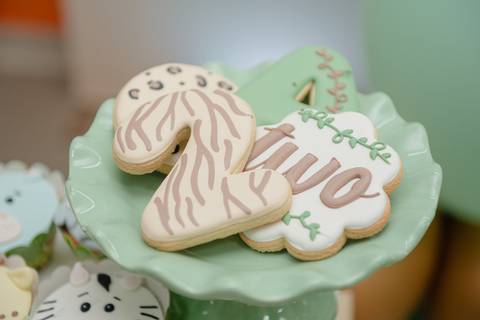 barra mansa, w3, fotografo, fotografia, bebe, crianca, marcelino rodrigues, 2 ano, 2 aninho, festa, aniversario infantil, infantil, w3 barra mansa rj, evento, salao criancas familia filhos maesefilhos maternidade, Safari, zoologico'