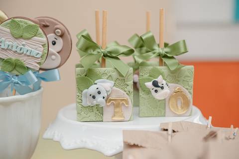 barra mansa, w3, fotografo, fotografia, bebe, crianca, marcelino rodrigues, 2 ano, 2 aninho, festa, aniversario infantil, infantil, w3 barra mansa rj, evento, salao criancas familia filhos maesefilhos maternidade, Safari, zoologico'