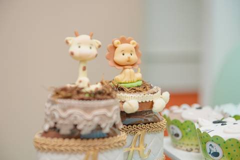 barra mansa, w3, fotografo, fotografia, bebe, crianca, marcelino rodrigues, 2 ano, 2 aninho, festa, aniversario infantil, infantil, w3 barra mansa rj, evento, salao criancas familia filhos maesefilhos maternidade, Safari, zoologico'