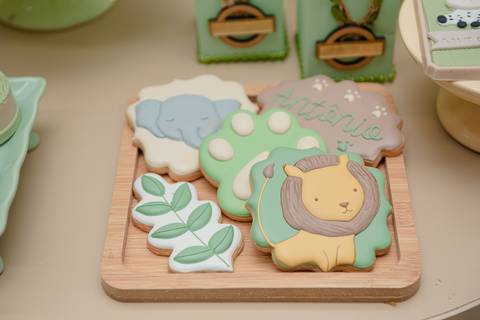 barra mansa, w3, fotografo, fotografia, bebe, crianca, marcelino rodrigues, 2 ano, 2 aninho, festa, aniversario infantil, infantil, w3 barra mansa rj, evento, salao criancas familia filhos maesefilhos maternidade, Safari, zoologico'