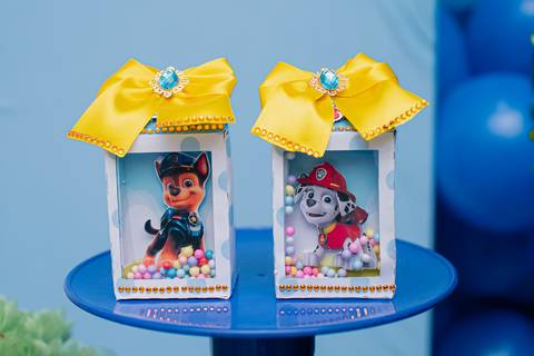 barra mansa, tictac, fotografo, fotografia, bebe, crianca, marcelino rodrigues, 3 ano, 3 aninhos, festa, aniversario infantil, infantil, tictac barra mansa rj, evento, salao criancas familia filhos maesefilhos maternidade, patrulha canina'