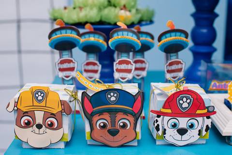 barra mansa, tictac, fotografo, fotografia, bebe, crianca, marcelino rodrigues, 3 ano, 3 aninhos, festa, aniversario infantil, infantil, tictac barra mansa rj, evento, salao criancas familia filhos maesefilhos maternidade, patrulha canina'