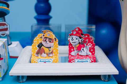 barra mansa, tictac, fotografo, fotografia, bebe, crianca, marcelino rodrigues, 3 ano, 3 aninhos, festa, aniversario infantil, infantil, tictac barra mansa rj, evento, salao criancas familia filhos maesefilhos maternidade, patrulha canina'