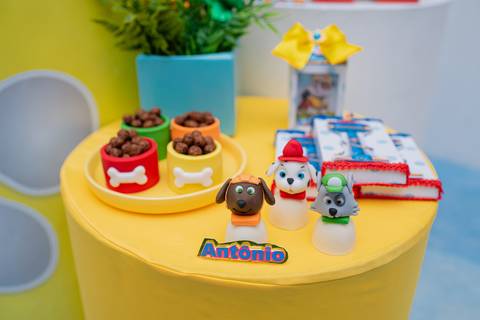 barra mansa, tictac, fotografo, fotografia, bebe, crianca, marcelino rodrigues, 3 ano, 3 aninhos, festa, aniversario infantil, infantil, tictac barra mansa rj, evento, salao criancas familia filhos maesefilhos maternidade, patrulha canina'