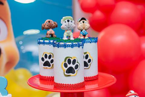 barra mansa, tictac, fotografo, fotografia, bebe, crianca, marcelino rodrigues, 3 ano, 3 aninhos, festa, aniversario infantil, infantil, tictac barra mansa rj, evento, salao criancas familia filhos maesefilhos maternidade, patrulha canina'