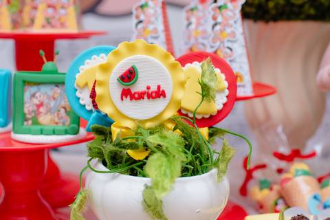 barra mansa, tictac, fotografo, fotografia, bebe, crianca, marcelino rodrigues, 3 ano, 3 aninhos, festa, aniversario infantil, infantil, tictac barra mansa rj, evento, salao criancas familia filhos maesefilhos maternidade, Turma da monica'