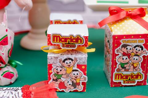 barra mansa, tictac, fotografo, fotografia, bebe, crianca, marcelino rodrigues, 3 ano, 3 aninhos, festa, aniversario infantil, infantil, tictac barra mansa rj, evento, salao criancas familia filhos maesefilhos maternidade, Turma da monica'