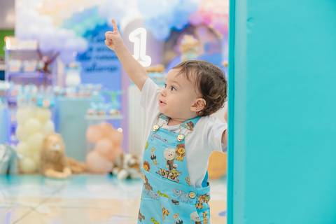 barra mansa, w3, fotografo, fotografia, bebe, crianca, marcelino rodrigues, 1 ano, 1 aninho, festa, aniversario infantil, infantil, w3 barra mansa rj, evento, salao criancas familia filhos maesefilhos maternidade, arca de noe, w3 kids'