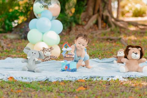 barra mansa, w3, fotografo, fotografia, bebe, crianca, marcelino rodrigues, 1 ano, 1 aninho, festa, aniversario infantil, infantil, w3 barra mansa rj, evento, salao criancas familia filhos maesefilhos maternidade, arca de noe, w3 kids'