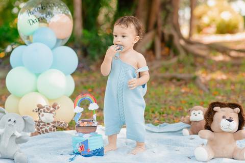 barra mansa, w3, fotografo, fotografia, bebe, crianca, marcelino rodrigues, 1 ano, 1 aninho, festa, aniversario infantil, infantil, w3 barra mansa rj, evento, salao criancas familia filhos maesefilhos maternidade, arca de noe, w3 kids'