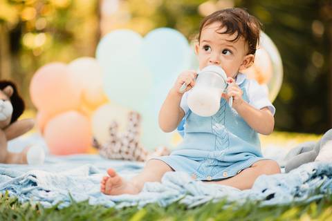 barra mansa, w3, fotografo, fotografia, bebe, crianca, marcelino rodrigues, 1 ano, 1 aninho, festa, aniversario infantil, infantil, w3 barra mansa rj, evento, salao criancas familia filhos maesefilhos maternidade, arca de noe, w3 kids'