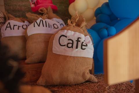 barra mansa, tictac, fotografo, fotografia, bebe, crianca, marcelino rodrigues, 1 ano, 1 aninhos, festa, aniversario infantil, infantil,  barra mansa rj, evento, salao criancas familia filhos maesefilhos maternidade, fazendinha, cavalo, country'