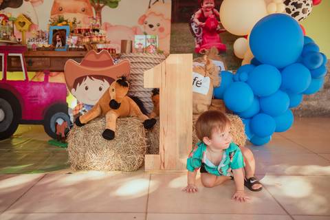 barra mansa, tictac, fotografo, fotografia, bebe, crianca, marcelino rodrigues, 1 ano, 1 aninhos, festa, aniversario infantil, infantil,  barra mansa rj, evento, salao criancas familia filhos maesefilhos maternidade, fazendinha, cavalo, country'