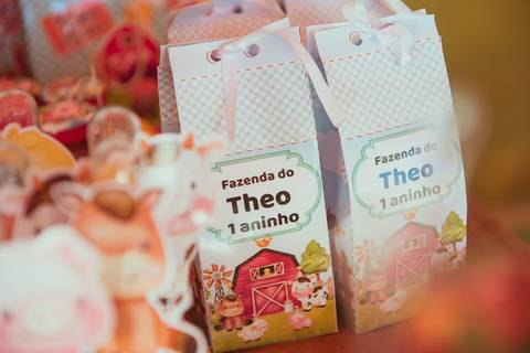 barra mansa, tictac, fotografo, fotografia, bebe, crianca, marcelino rodrigues, 1 ano, 1 aninhos, festa, aniversario infantil, infantil,  barra mansa rj, evento, salao criancas familia filhos maesefilhos maternidade, fazendinha, cavalo, country'