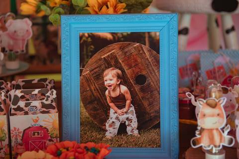 barra mansa, tictac, fotografo, fotografia, bebe, crianca, marcelino rodrigues, 1 ano, 1 aninhos, festa, aniversario infantil, infantil,  barra mansa rj, evento, salao criancas familia filhos maesefilhos maternidade, fazendinha, cavalo, country'