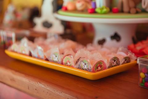 barra mansa, tictac, fotografo, fotografia, bebe, crianca, marcelino rodrigues, 1 ano, 1 aninhos, festa, aniversario infantil, infantil,  barra mansa rj, evento, salao criancas familia filhos maesefilhos maternidade, fazendinha, cavalo, country'