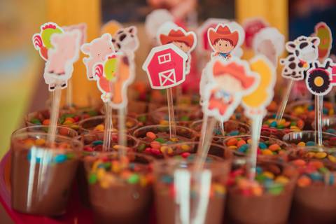 barra mansa, tictac, fotografo, fotografia, bebe, crianca, marcelino rodrigues, 1 ano, 1 aninhos, festa, aniversario infantil, infantil,  barra mansa rj, evento, salao criancas familia filhos maesefilhos maternidade, fazendinha, cavalo, country'