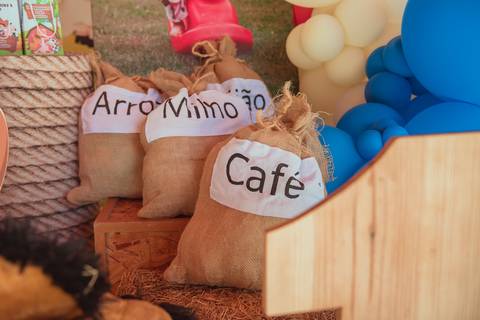 barra mansa, tictac, fotografo, fotografia, bebe, crianca, marcelino rodrigues, 1 ano, 1 aninhos, festa, aniversario infantil, infantil,  barra mansa rj, evento, salao criancas familia filhos maesefilhos maternidade, fazendinha, cavalo, country'