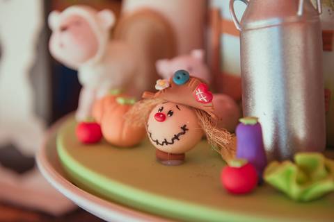 barra mansa, tictac, fotografo, fotografia, bebe, crianca, marcelino rodrigues, 1 ano, 1 aninhos, festa, aniversario infantil, infantil,  barra mansa rj, evento, salao criancas familia filhos maesefilhos maternidade, fazendinha, cavalo, country'