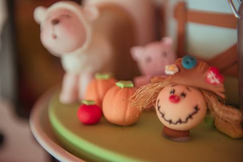 barra mansa, tictac, fotografo, fotografia, bebe, crianca, marcelino rodrigues, 1 ano, 1 aninhos, festa, aniversario infantil, infantil,  barra mansa rj, evento, salao criancas familia filhos maesefilhos maternidade, fazendinha, cavalo, country'