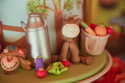 barra mansa, tictac, fotografo, fotografia, bebe, crianca, marcelino rodrigues, 1 ano, 1 aninhos, festa, aniversario infantil, infantil,  barra mansa rj, evento, salao criancas familia filhos maesefilhos maternidade, fazendinha, cavalo, country'