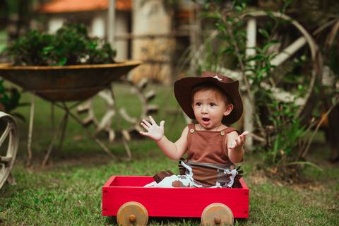 barra mansa, tictac, fotografo, fotografia, bebe, crianca, marcelino rodrigues, 1 ano, 1 aninhos, festa, aniversario infantil, infantil,  barra mansa rj, evento, salao criancas familia filhos maesefilhos maternidade, fazendinha, cavalo, country'