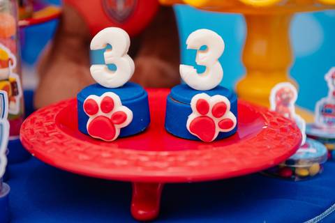 barra mansa, salaoconfortofestas, fotografo, fotografia, bebe, crianca, marcelino rodrigues, 3 ano, 3 aninhos, festa, aniversario infantil, infantil,  rj, evento, salao criancas familia filhos maesefilhos maternidade, salao conforto festa, cachorro'